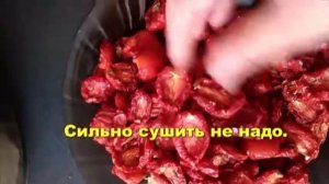 Вяленые помидоры в электросушилке