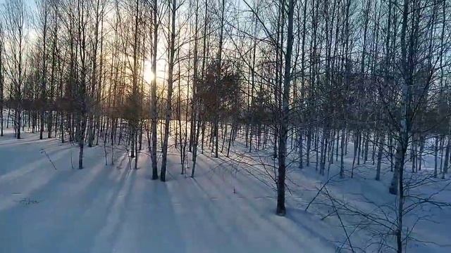 Охота на тетерева зимой смотреть онлайн