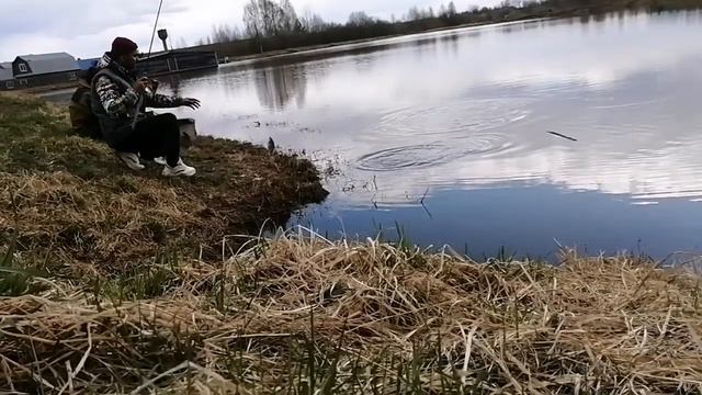 Страшный сон рыбака. Очень много карпа!