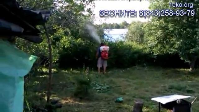Обработка комаров на даче смотреть онлайн