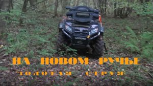 На новом ручье.''Золотая Струя''Супер лопата для поиска.