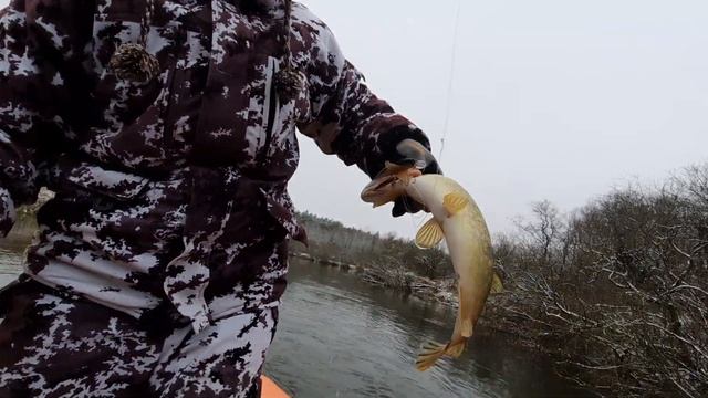 ЛУЧШИЙ ТЕСТ ВОБЛЕРОВ FLAGMAN,СПИННИНГ ЗИМОЙ!УСПЕШНО! смотреть онлайн