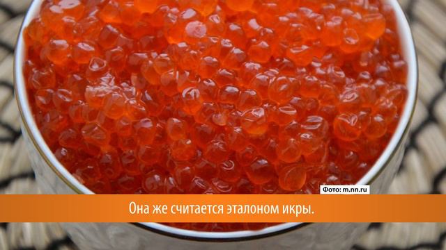 Красная икра может быть разной? смотреть онлайн