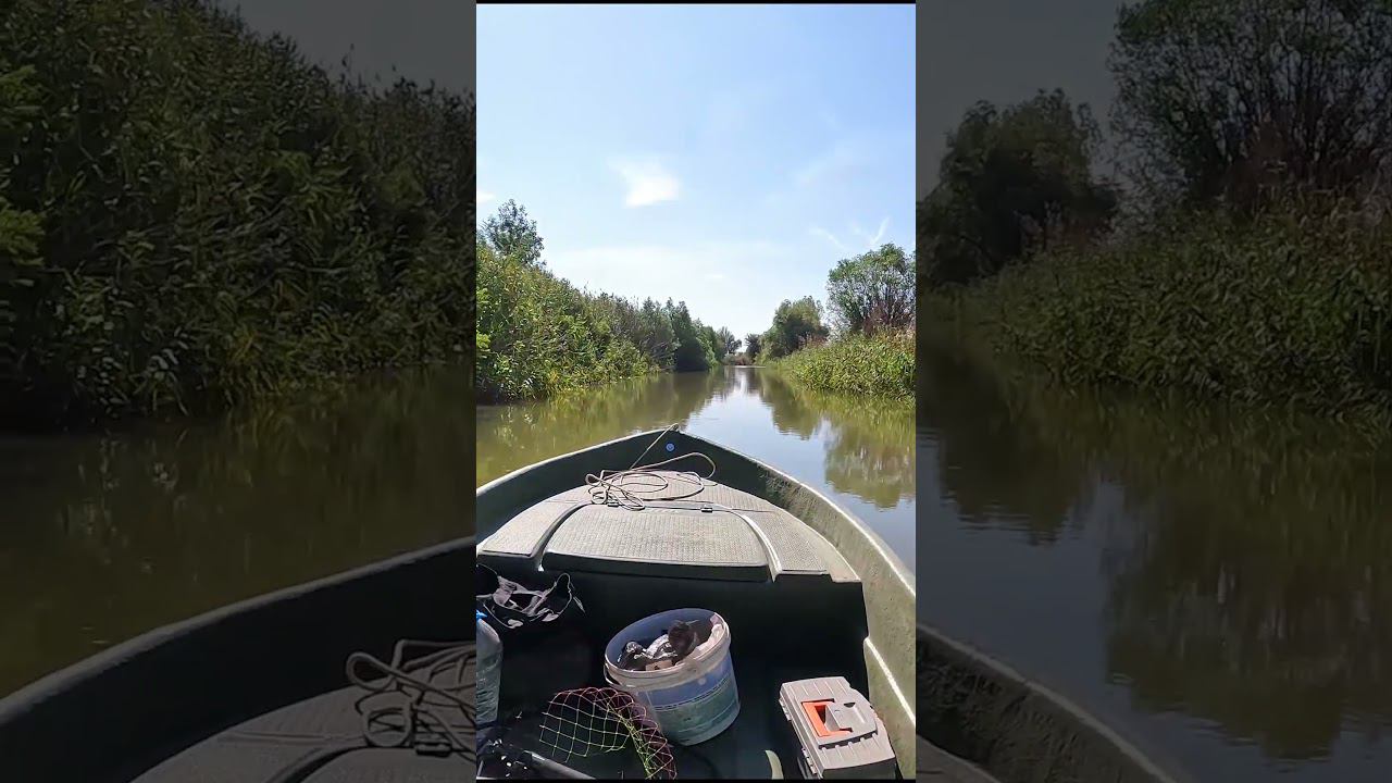 ЛОДКА Riverboat 39 под мотором Tohatsu 5 4т. #жмых #рыбалкавастрахани #сазан смотреть онлайн