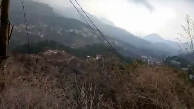 Roadtrip to shimla смотреть онлайн