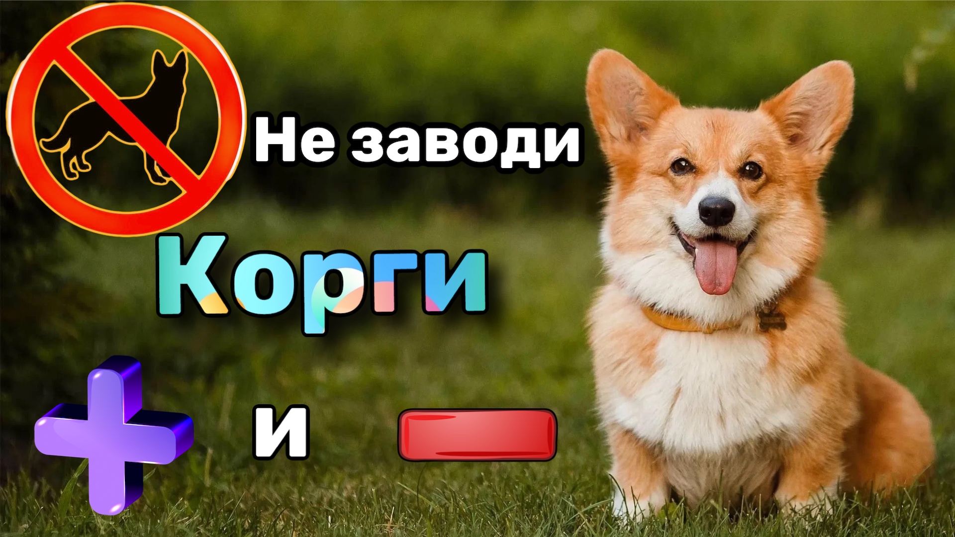 ПОСМОТРИ ЭТО ВИДЕО ПЕРЕД ВЫБОРОМ... смотреть онлайн