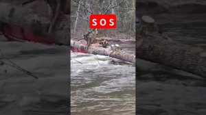 ЧО СДЕЛАЛ НЕПРАВИЛЬНО? #вода #экстрим #опасность #риск #рыбалка #река #лодка #просшествие #чп #sos