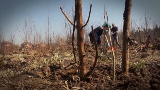 Жители Опалихи и волонтеры Гринпис сажают лес смотреть онлайн