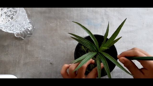 Cute pen holder and flower pot made using junks. смотреть онлайн