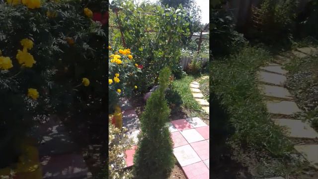 3 сентября 2023 г. смотреть онлайн