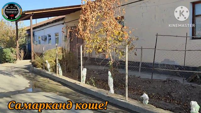 САМАРКАНД АМИР ТЕМИР КОШЕ#тахиаташ#каракалпакистан#узбекистан#казакстан#город#ауыл#кошелер#уй#дом смотреть онлайн