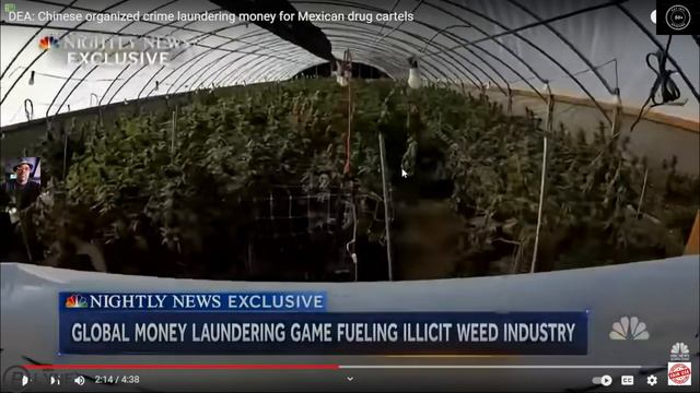 The undermining of the USA 2023 смотреть онлайн