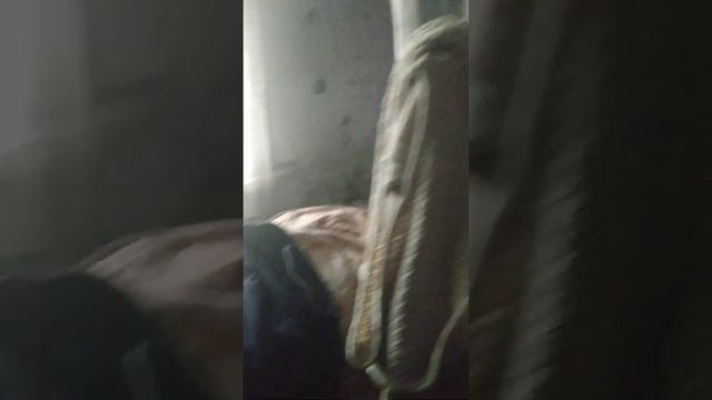 pariki на квадрате смотреть онлайн