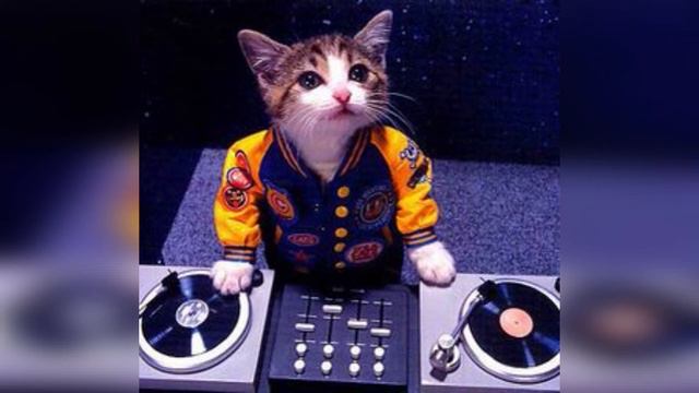 T-RAP Beats ''DJ Snake'' Type BEAT 🔈BASS BOOSTED🔈 смотреть онлайн