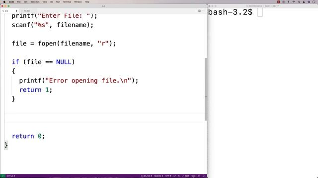 Count The Number Of Lines In A File | C Programming Example смотреть онлайн
