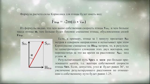 ПЕРЕЛЕТНЫЕ ПТИЦЫ ВЫБИРАЮТ НАПРАВЛЕНИЕ НА СЕВЕР ИЛИ ЮГ БЛАГОДАРЯ СИЛЕ КОРИОЛИСА. смотреть онлайн