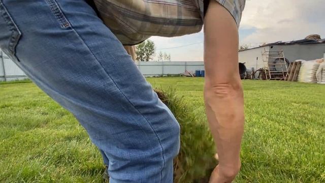 Рулонный газон, как правильно выбрать? смотреть онлайн
