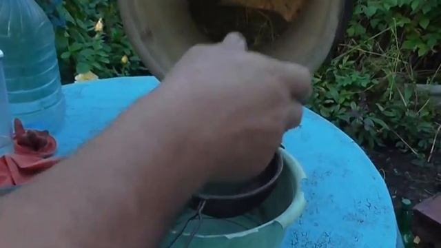 Как собрать семена моркови смотреть онлайн