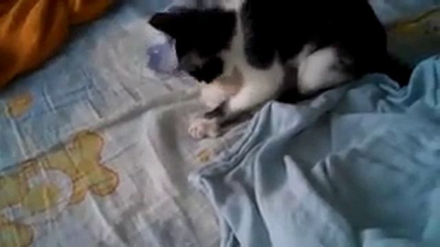 Сонник)) Он милый и забавный смотреть онлайн