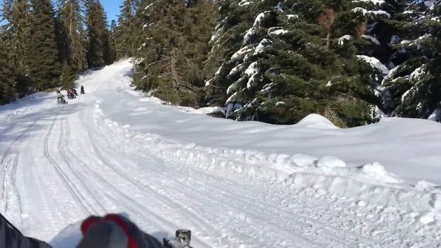 Алексис спит на мотосанях. Ищем животных в лесу. Последний день в Болгарии. смотреть онлайн