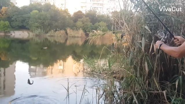 Природа Краснодара. смотреть онлайн