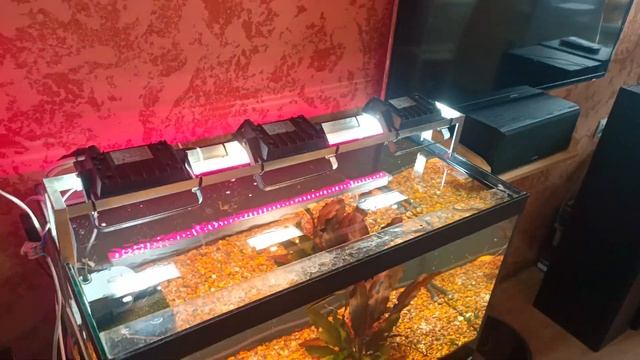 Аквариум 100л смотреть онлайн