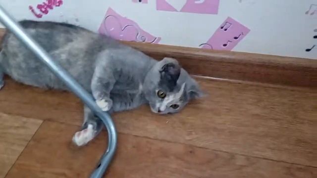 Сосиски в тесте