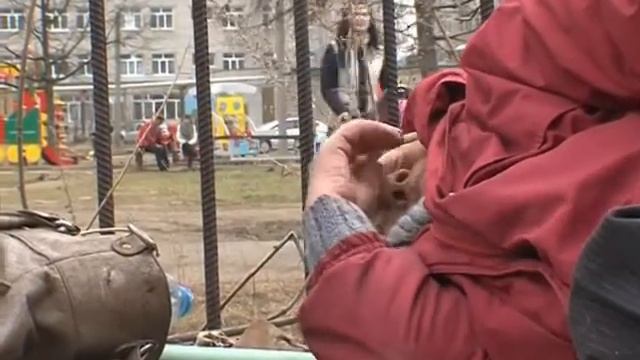 Во дворе больницы по Тутаевскому шоссе поселились две женщины смотреть онлайн