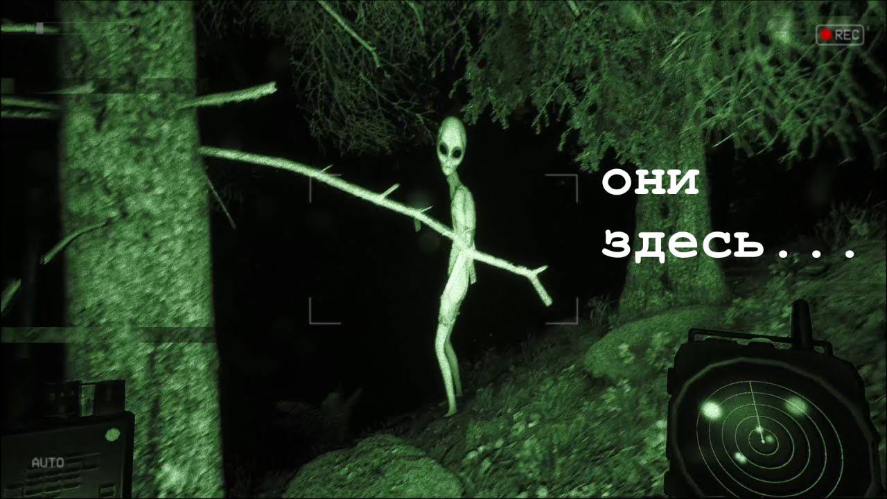 Они здесь...