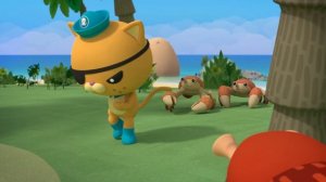 04.19 - Октонавты и кокосовый переполох