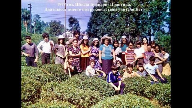 Колхоз Кведа Ульяновка деревня Букнари ბუკნარი РЕТРО Аджария Грузия Кобулети смотреть онлайн