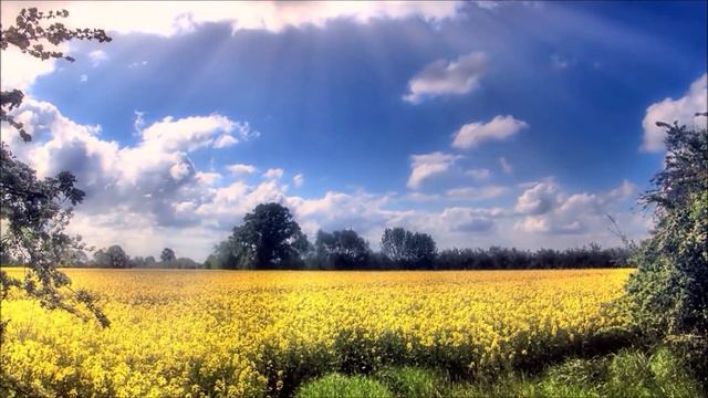 ЩЕГОЛ И ПЕТУХИ В ДЕРЕВЕНСКОЙ АТМОСФЕРЕ ЭТО ПОЮЩИЕ ЛЕКАРИ НАШЕЙ ДУШИ. СКАЖИТЕ ЖИЗНИ ДА!!! смотреть онлайн