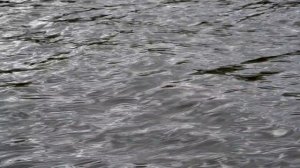 Рыбалка секреты.Как правильно ловить рыбу.Советы