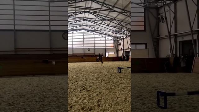 И такое бывает) #конныйспорт #horse #equestrian #horseriding #конкур #лошадь #конь #horsefail смотреть онлайн