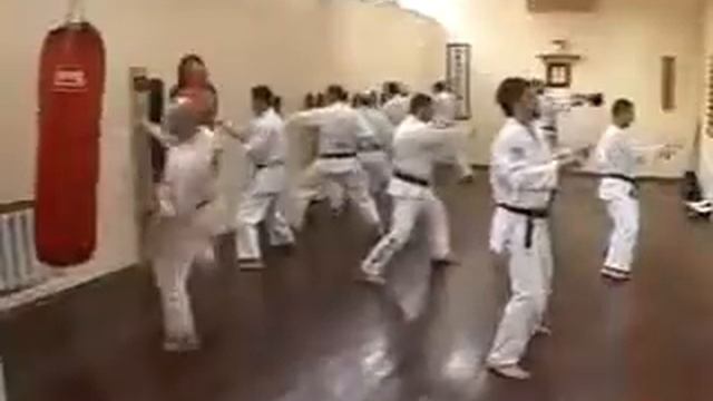 Клуб Бушинкан Джиу-Джитсу