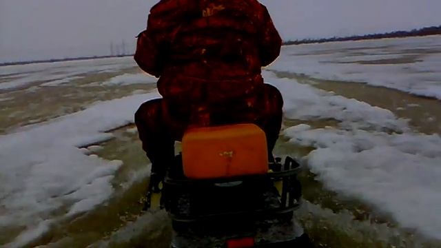 Динго 125 плывет