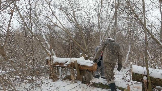 как заработать.Купил дубовые дрова для рекламной машины.Заготовка клёна смотреть онлайн