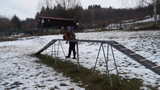 20180125 095238 Tim a úspěšné obejití kladiny - pro majitele смотреть онлайн
