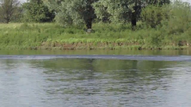 Новгород-Северский река Десна. смотреть онлайн