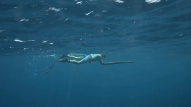 I Almost Drowned After Spearing This Tuna смотреть онлайн