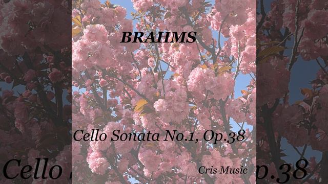 Brahms: Cello Sonata No.1, Op.38: III. Allegro смотреть онлайн