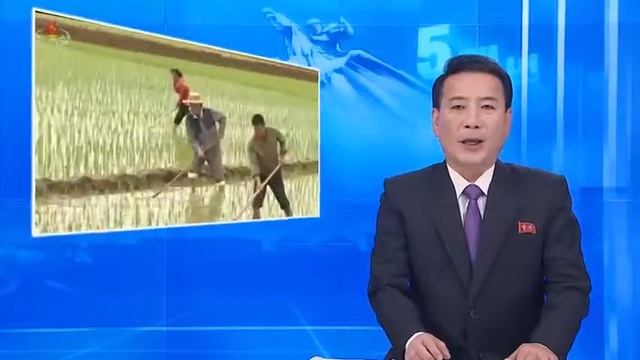 Новости КНДР за 13 июня 2019 года смотреть онлайн