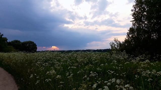 Русская народная песня /Застольная/Где то в Подмосковье 2018 смотреть онлайн