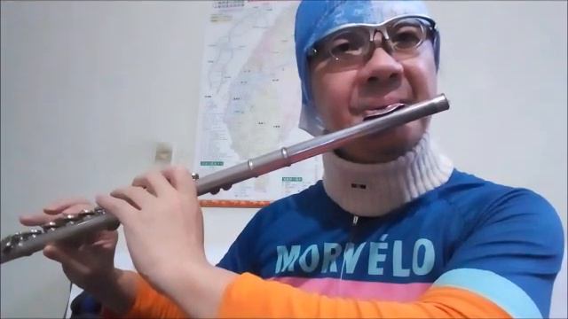 鳳飛飛-祝你幸福-長笛Flute練習06(cover-by 任閒騎miraclemaryboy)降G調 смотреть онлайн