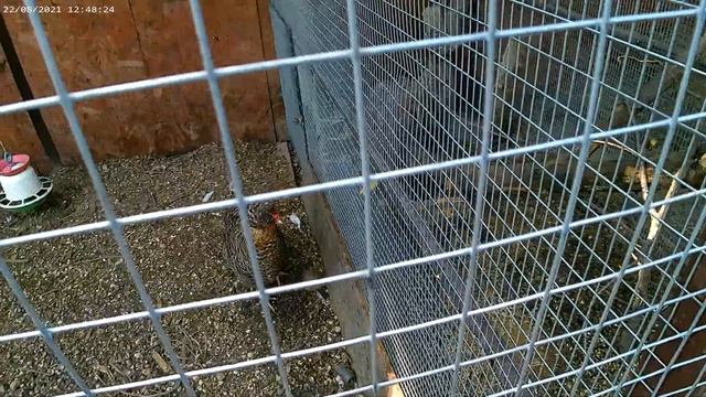 Ейск набережная. Казачий курень. смотреть онлайн