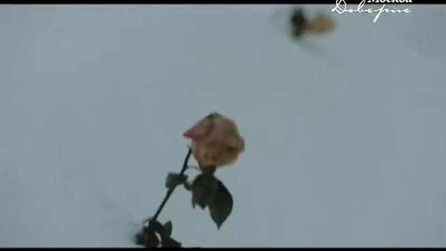 Храм церковь Николая в подкопаеве с колокольней смотреть онлайн