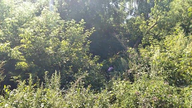 влог летом/АЛЕКСАНДР ВЕЛИКИЙ смотреть онлайн