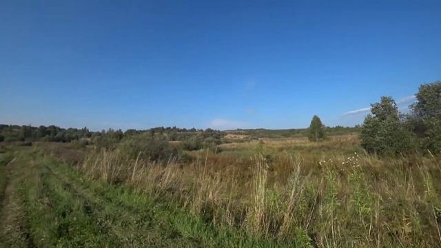 Костромская деревня .Опять за картошкой . Катя красит,Серёжа пилит.Ёлка упала на дом.