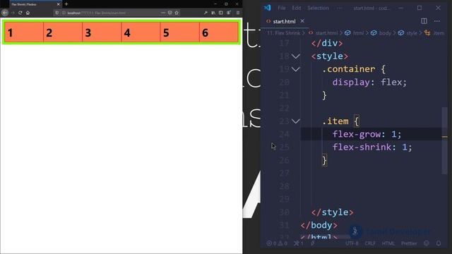 CSS Flex Shrink Explained in Tamil смотреть онлайн