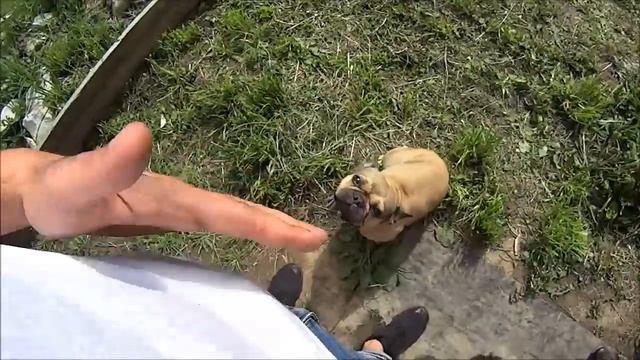 =Хочу Пожрать= Свиные рёбра с картошкой и овощами в казане смотреть онлайн